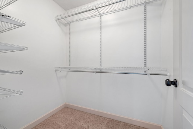 spacious closet with light carpet