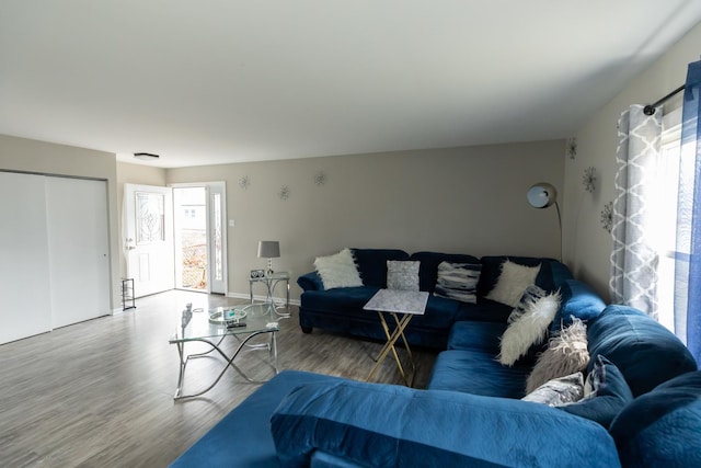 living room featuring hardwood / wood-style floors and a wealth of natural light