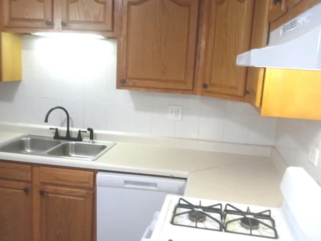 kitchen featuring decorative backsplash, sink, and dishwasher