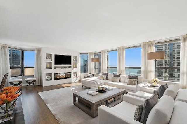 living room with dark hardwood / wood-style flooring