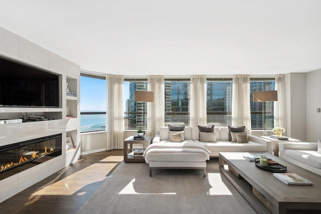 living room with a water view, a fireplace, and dark wood-type flooring