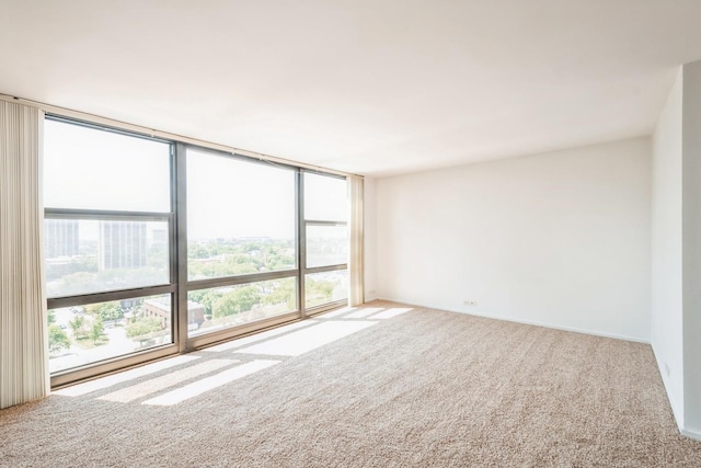 carpeted spare room featuring floor to ceiling windows