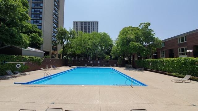 view of pool with a patio