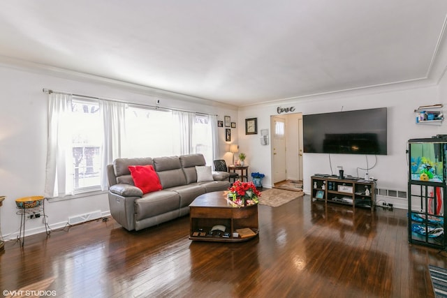 living room with crown molding and dark hardwood / wood-style floors