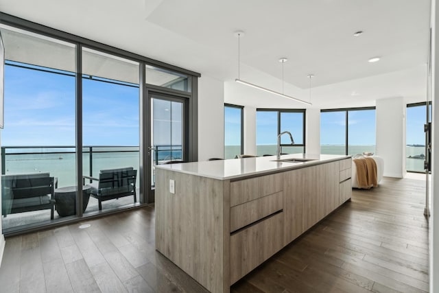 kitchen with a center island with sink, dark hardwood / wood-style floors, a water view, and sink