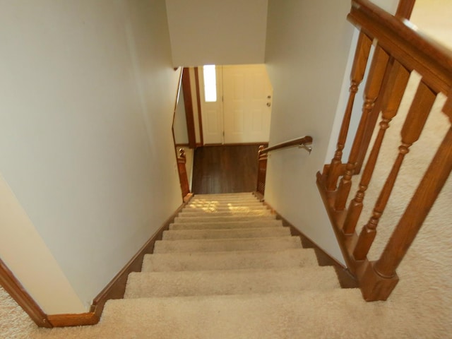 stairway with carpet flooring