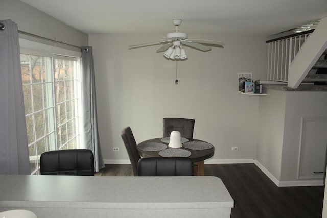 dining room with dark hardwood / wood-style floors and ceiling fan