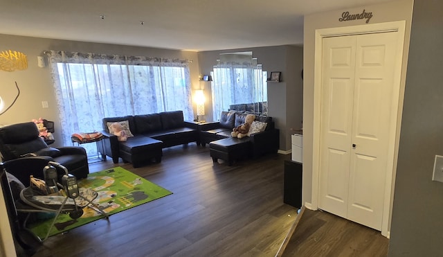 living room with dark wood-type flooring