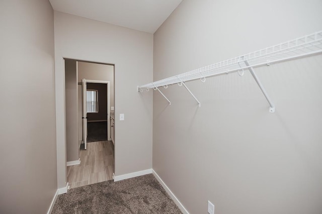 walk in closet featuring light carpet