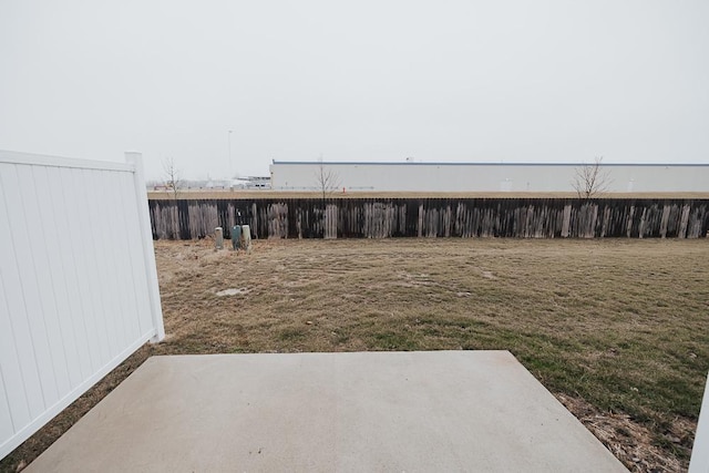 view of yard with a patio