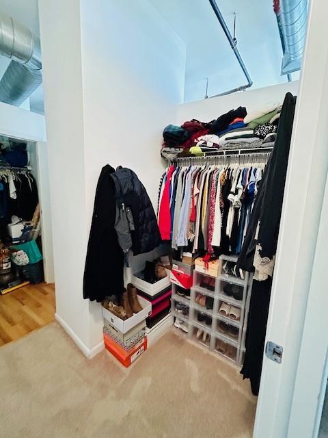 spacious closet with carpet flooring