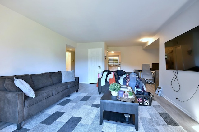 living room with wood-type flooring