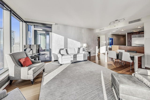 living room with light hardwood / wood-style floors and expansive windows