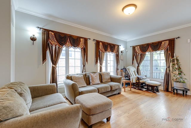 living room with light hardwood / wood-style flooring, a healthy amount of sunlight, and ornamental molding