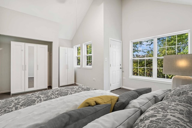 carpeted bedroom with high vaulted ceiling