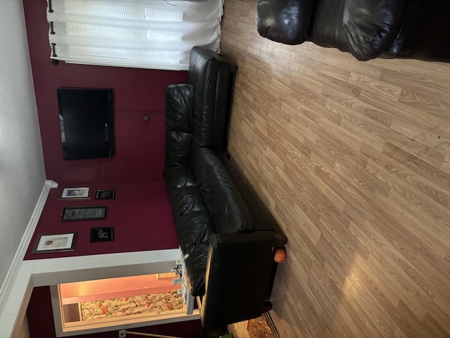 living room featuring hardwood / wood-style flooring