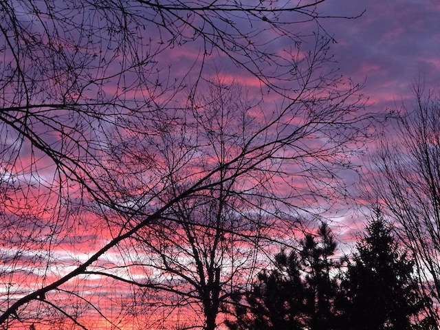 view of nature at dusk