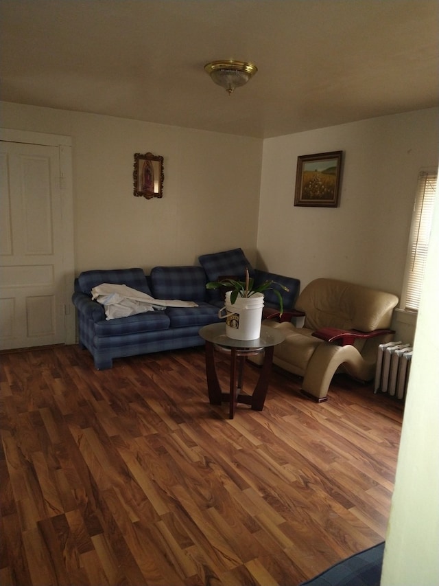 living room featuring radiator heating unit and hardwood / wood-style flooring