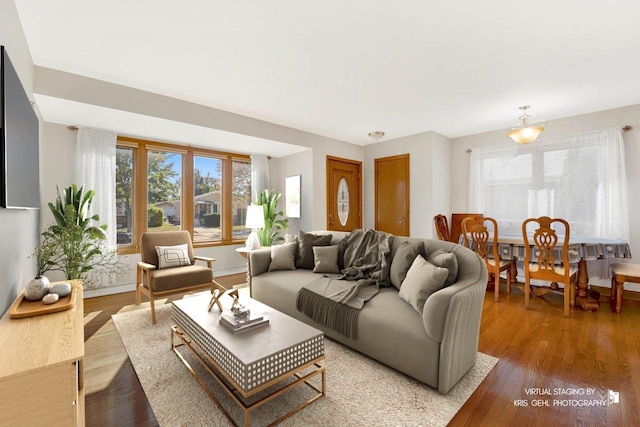 living room featuring hardwood / wood-style floors and a healthy amount of sunlight