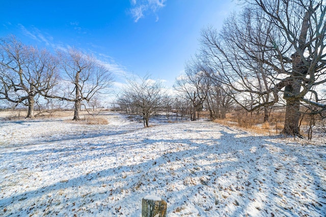 view of yard covered in snow