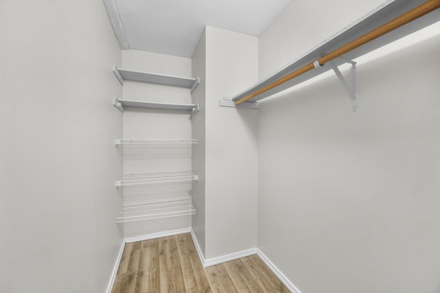 spacious closet featuring light wood-type flooring