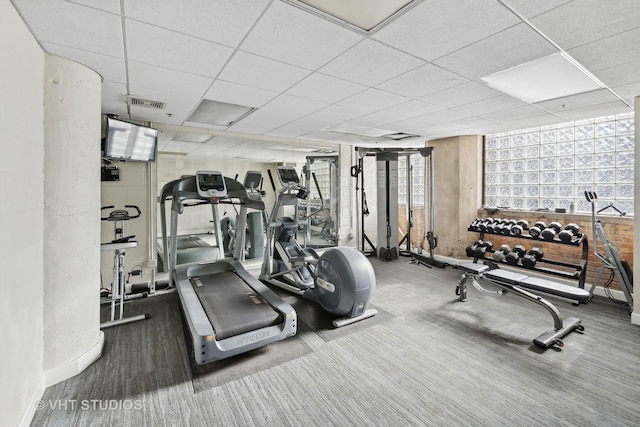 exercise room with floor to ceiling windows, dark colored carpet, and a drop ceiling