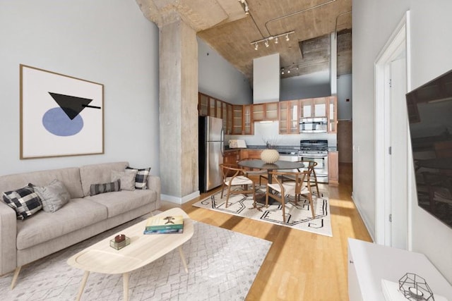 living room featuring light wood-type flooring and track lighting