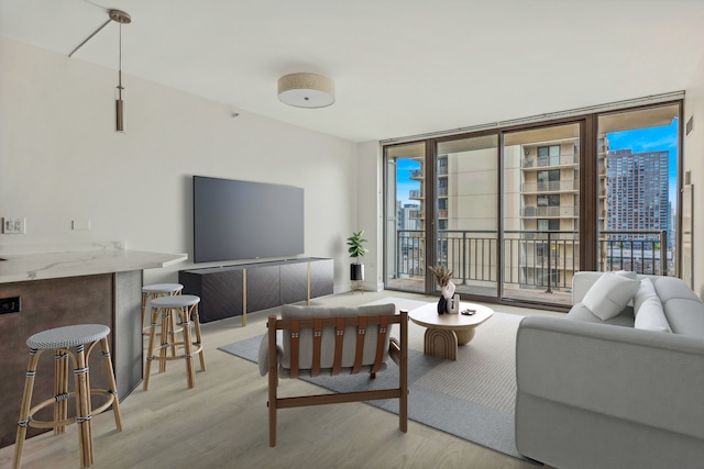 living room featuring light hardwood / wood-style floors and a wall of windows