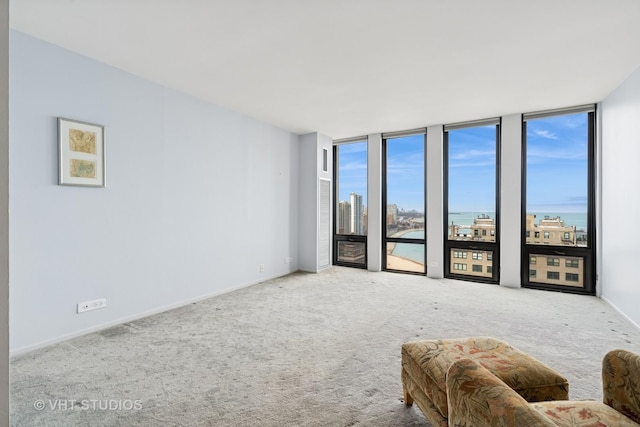 carpeted spare room with expansive windows, baseboards, and a city view