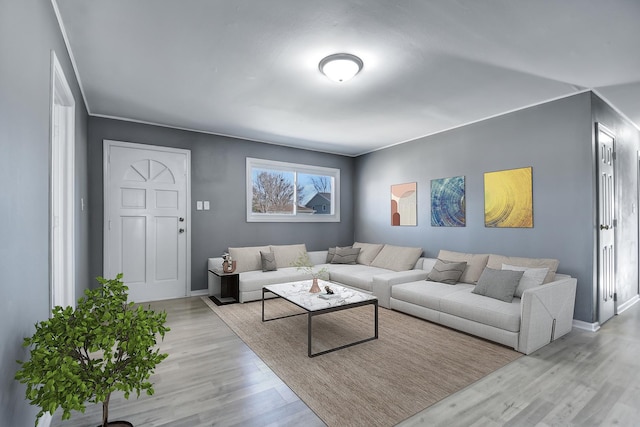 living room featuring light wood-type flooring