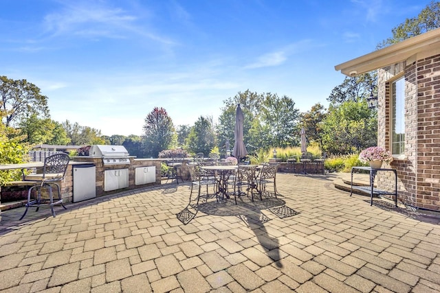 view of patio with outdoor dining area and area for grilling