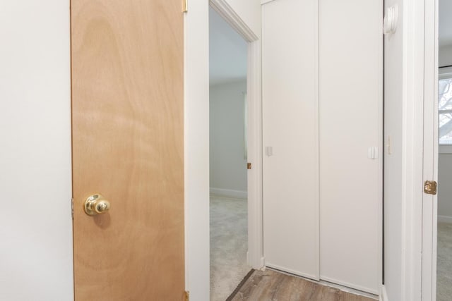 interior space featuring wood-type flooring