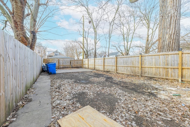 view of yard featuring a patio