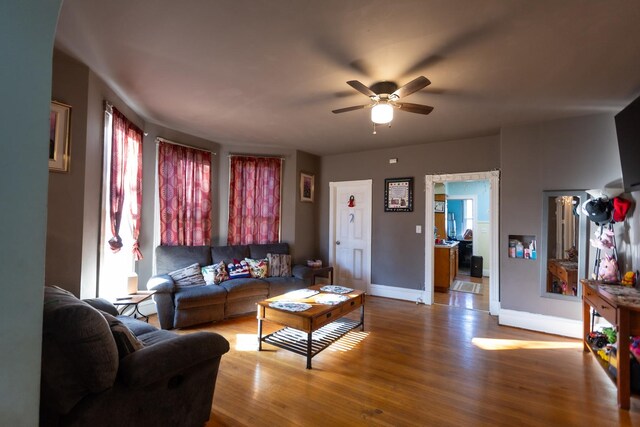 living room featuring light hardwood / wood-style floors and ceiling fan