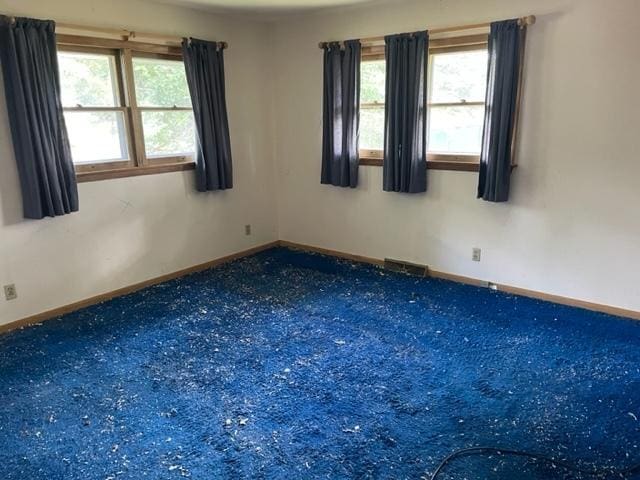 spare room with carpet floors