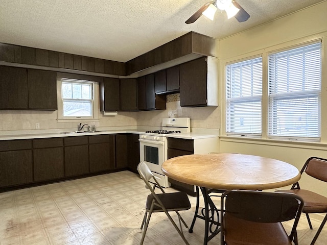 kitchen with sink, dark brown cabinets, gas range gas stove, and a textured ceiling