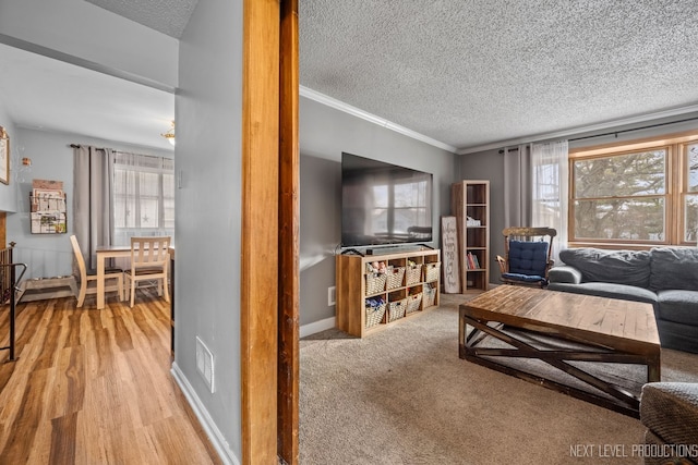 living room featuring crown molding, a healthy amount of sunlight, and a textured ceiling