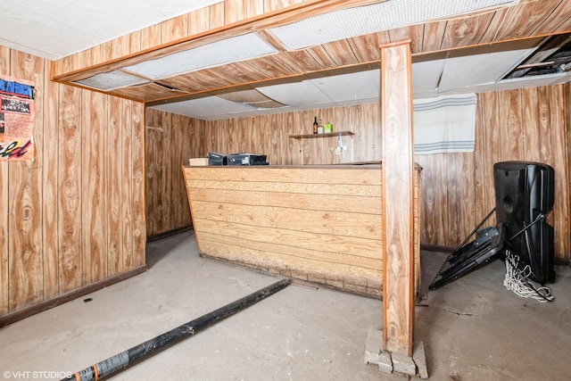 basement with wood walls