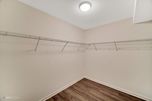 spacious closet featuring dark hardwood / wood-style flooring