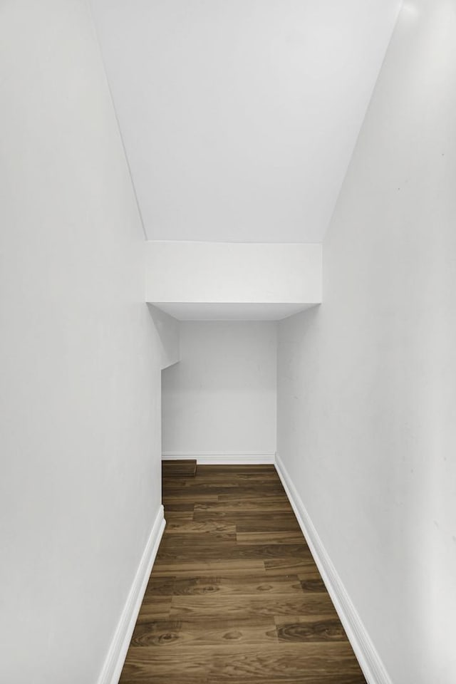 spacious closet with dark wood-type flooring and lofted ceiling