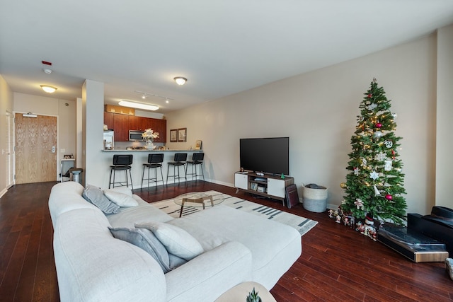 living room with dark hardwood / wood-style floors