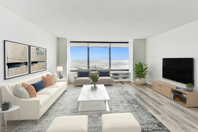 living room featuring floor to ceiling windows and light wood-type flooring