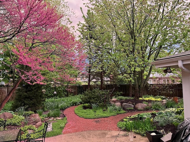 view of yard at dusk