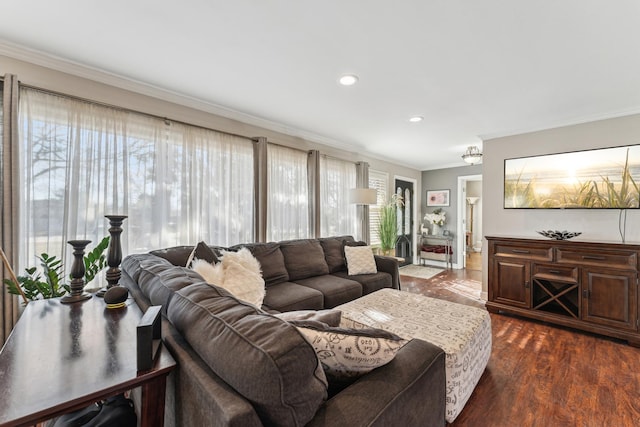 living room featuring dark hardwood / wood-style flooring and crown molding