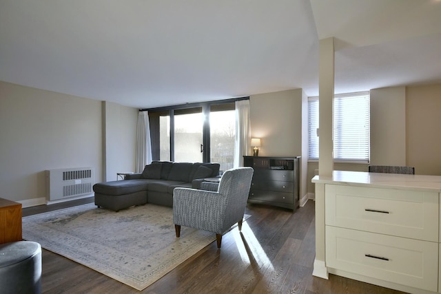 living room with dark hardwood / wood-style floors, heating unit, and a healthy amount of sunlight