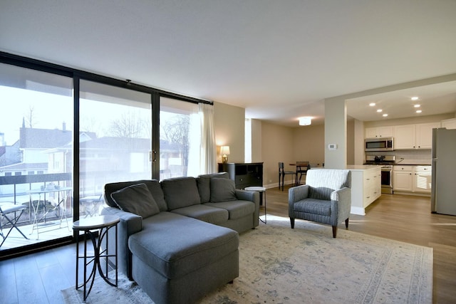 living room featuring light hardwood / wood-style flooring and floor to ceiling windows