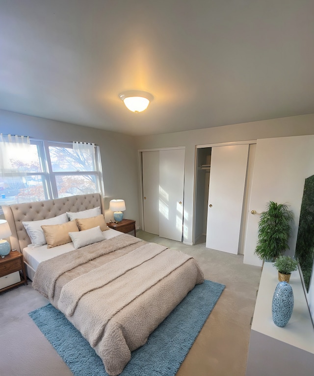 bedroom featuring multiple closets