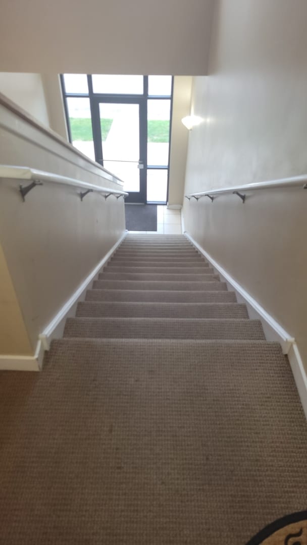 stairs with carpet flooring