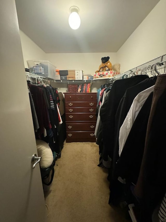 spacious closet featuring light carpet