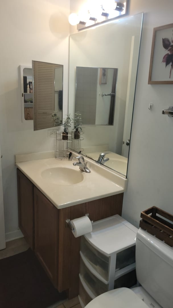 bathroom featuring vanity and toilet